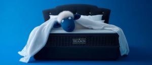 La Compagnie du Lit s’invite sur M6 et déploie une offensive médiatique nationale